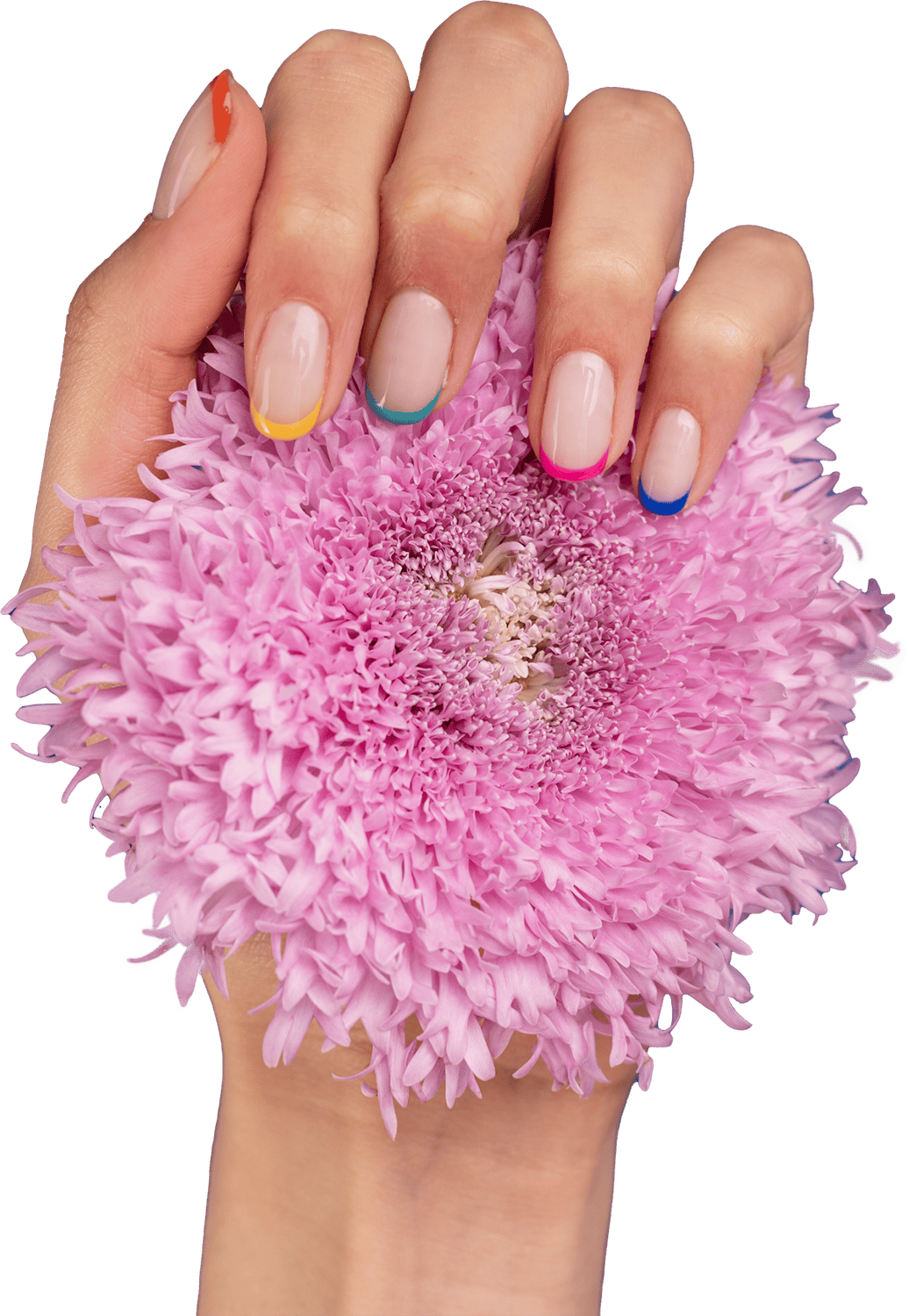 Manicure professionale Sammishop